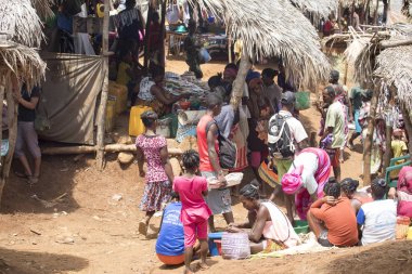Görüntü ile kırsal Kuzey, inek Antsohihy, Madagaskar yakınındaki kulübelerin arasında 