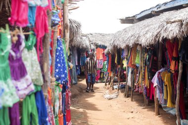 Görüntü ile kırsal Kuzey, inek Antsohihy, Madagaskar yakınındaki kulübelerin arasında 