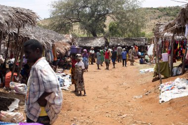 Görüntü ile kırsal Kuzey, inek Antsohihy, Madagaskar yakınındaki kulübelerin arasında 