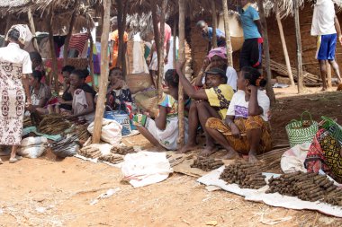 Görüntü ile kırsal Kuzey, inek Antsohihy, Madagaskar yakınındaki kulübelerin arasında 