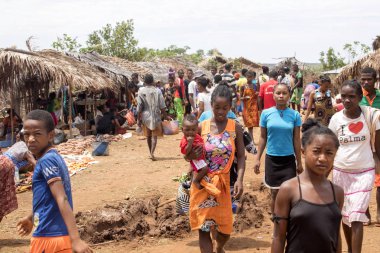 Görüntü ile kırsal Kuzey, inek Antsohihy, Madagaskar yakınındaki kulübelerin arasında 