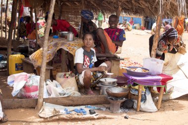 Görüntü ile kırsal Kuzey, inek Antsohihy, Madagaskar yakınındaki kulübelerin arasında 