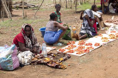 Görüntü ile kırsal Kuzey, inek Antsohihy, Madagaskar yakınındaki kulübelerin arasında 