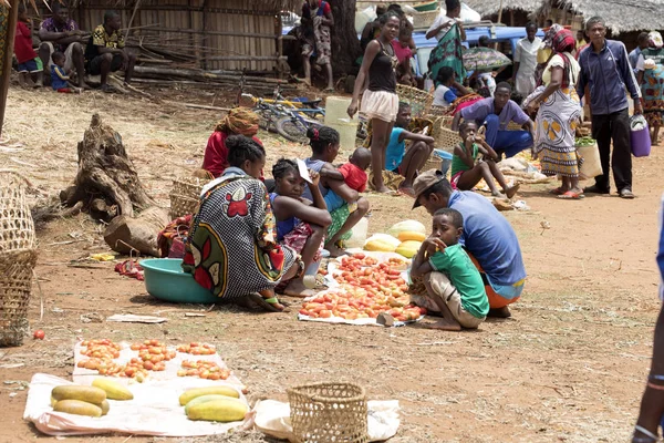 Görüntü Ile Kırsal Kuzey Inek Antsohihy Madagaskar Yakınındaki Kulübelerin Arasında — Stok fotoğraf