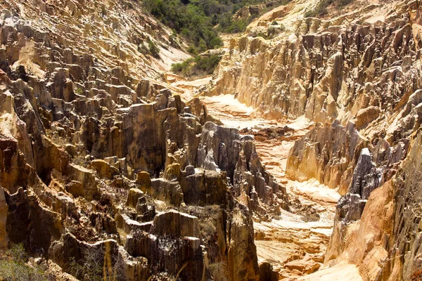 Beautiful View Canyon Erosion Furrows Reserve Tsingy Ankarana Madagascar — Stock Photo, Image