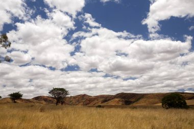 Kuzeybatı Madagaskar dalgalı yetiştirilip peyzaj üzerinde güzel gökyüzü