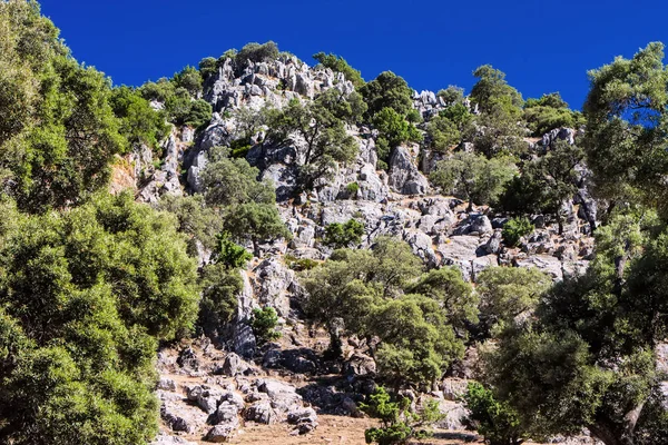 Τοπίο Στο Εθνικό Πάρκο Tazekka Μαρόκο — Φωτογραφία Αρχείου