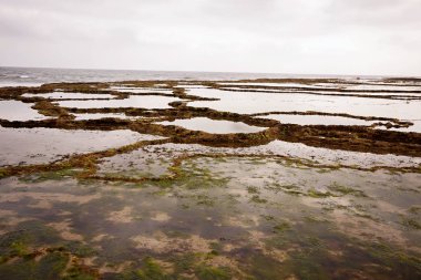 yaşanması zor Atlantic Coast, Fas