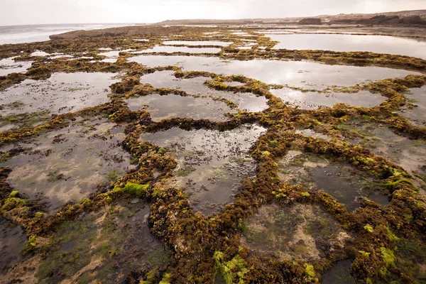 yaşanması zor Atlantic Coast, Fas