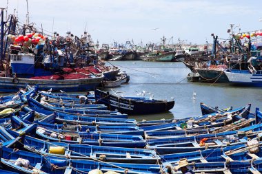  Mavi balıkçı tekneleri, Essaouira, Morocco