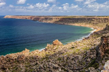  bir küçük defne Atlantik Okyanusu, Fas turist