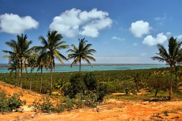 Берег Индийского Океана Мозамбикский Канал — стоковое фото