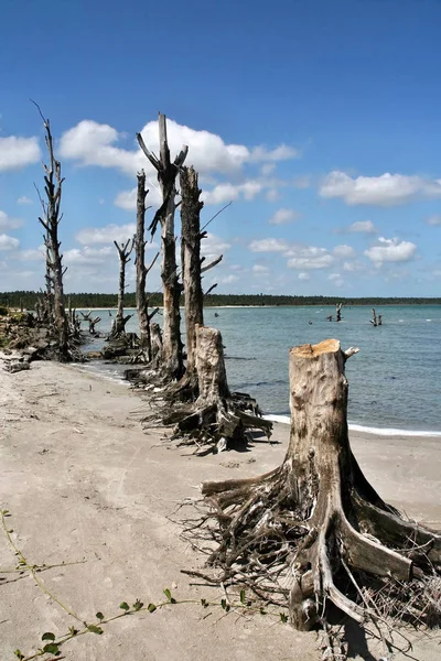 Costa Oceano Índico Canal Moçambique — Fotografia de Stock