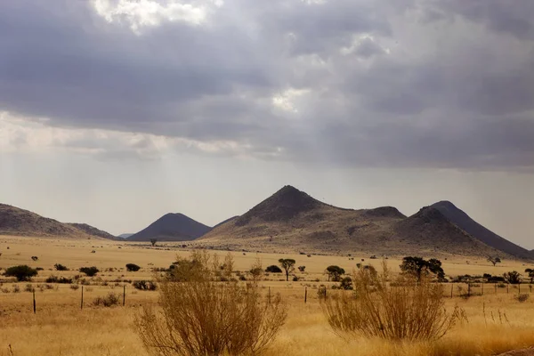 Paisagem Desértica Após Uma Tempestade Norte Namíbia — Fotografia de Stock