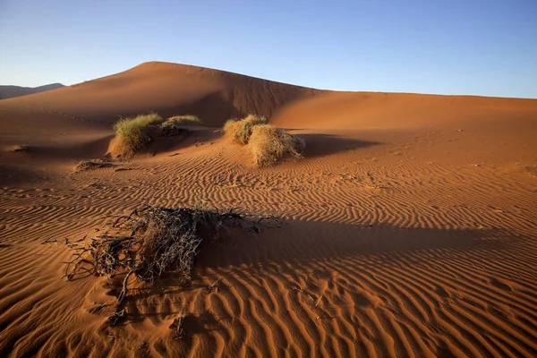 Een Uitzichtpunt Sossusvlei Namibië — Stockfoto