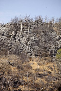 ormanlık kayalık hills, merkezi Namibya