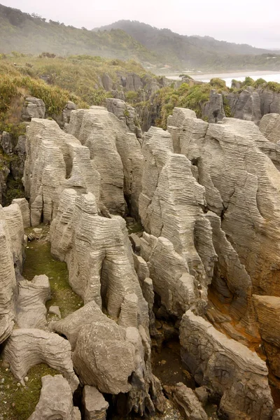 Erozyon Punakaiki Yeni Zelanda Güney Adası Tarafından Kurulan Tuhaf Kaya — Stok fotoğraf