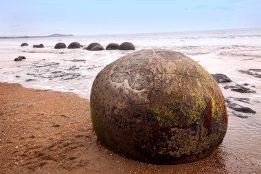 Moeraki boulders dikkat çekici, Yeni Zelanda, Güney Adası