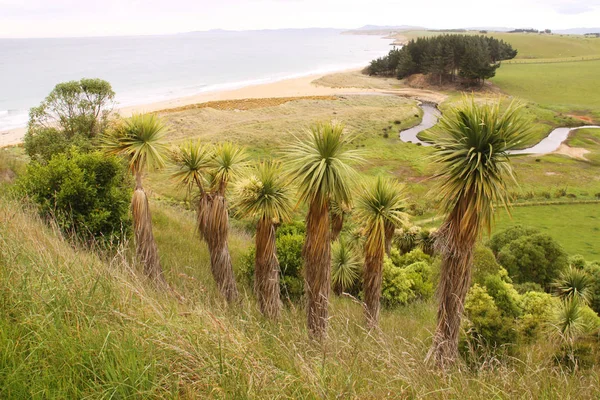 Parque Nacional Abel Tasman Nueva Zelanda Isla Sur —  Fotos de Stock