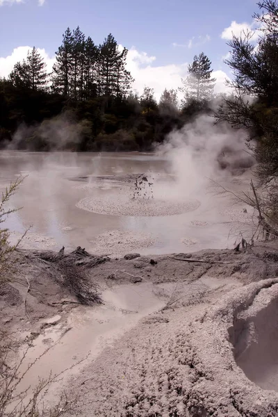 Hete Modder Fumarolen Rotorua Nieuw Zeeland Noordereiland — Stockfoto