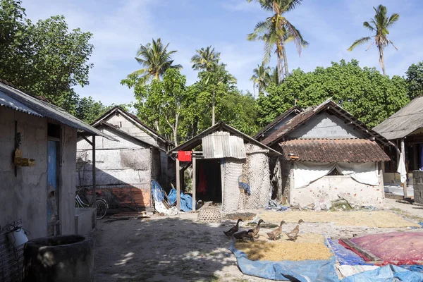 Case Poveri Agricoltori Alghe Marine Nusa Penida Bali Indonesia — Foto Stock