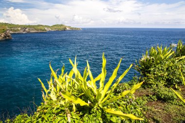 kayalık sahil, Nusa Penida, Endonezya