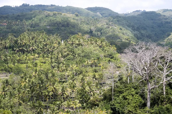 Paisaje Montañoso Nusa Penida Indonesia — Foto de Stock