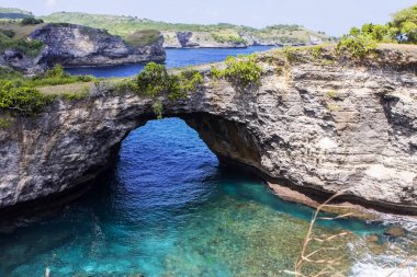 kayalar ile yosun Nusa Penida, Endonezya kaplı
