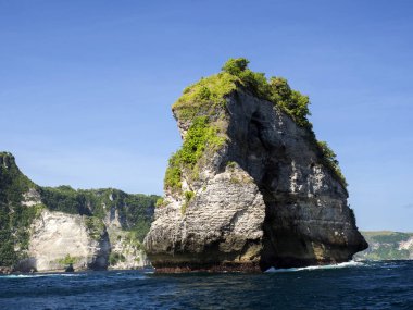 Yeşil, Penida Adası, Indonesi'nın Batı kıyısı ile kaplı kalker kayalar