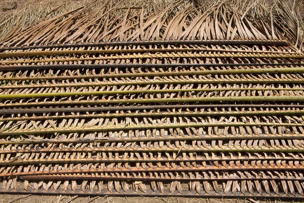乾燥海藻 ヌサペニダ インドネシア — ストック写真