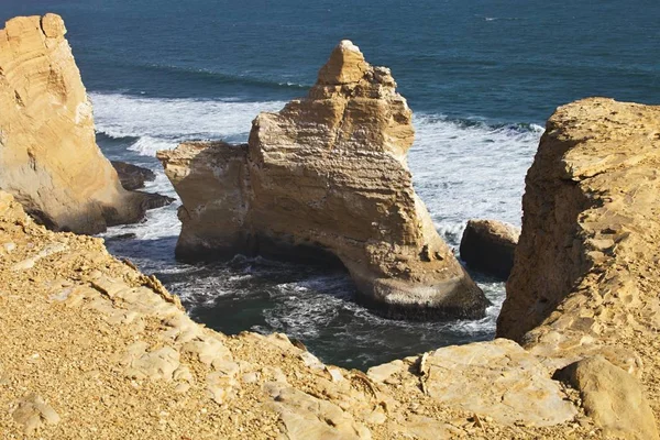 Kayalık Sahil Paracas Peru — Stok fotoğraf