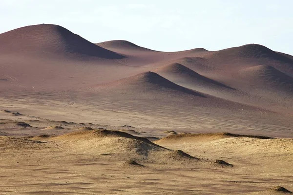 Sivatagi Táj Paracas Peru — Stock Fotó