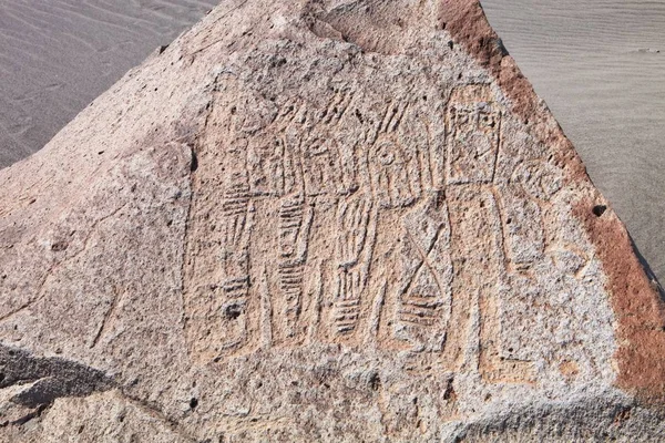 Pérou Toro Muerto Petroglyphs 5000 Pétroglyphes Désert Bien Que Les — Photo