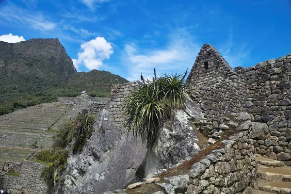 Vue Ancienne Ville Inca Machu Picchu Site Inca 15E Siècle — Photo