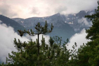 Bulutların altında Mount Olympos, Yunanistan