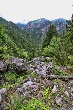 Olimpos Dağı, Yunanistan altında bozulmamış doğa