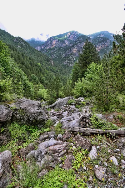 Intact nature under Mount Olympus, Greece