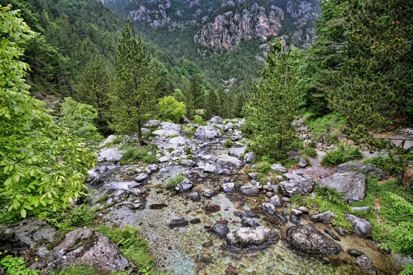 Natura Intatta Sotto Monte Olimpo Grecia — Foto Stock