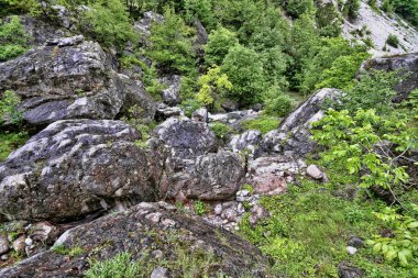 Olimpos Dağı, Yunanistan altında bozulmamış doğa