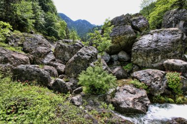 Mount Olympos dağ dere, Yunanistan