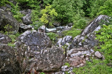 Olimpos Dağı, Yunanistan altında bozulmamış doğa
