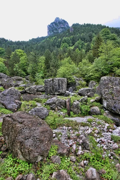 Intakte Natur Unter Dem Olympischen Berg Griechenland — Stockfoto