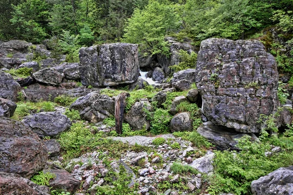 Naturaleza Intacta Bajo Monte Olimpo Grecia — Foto de Stock