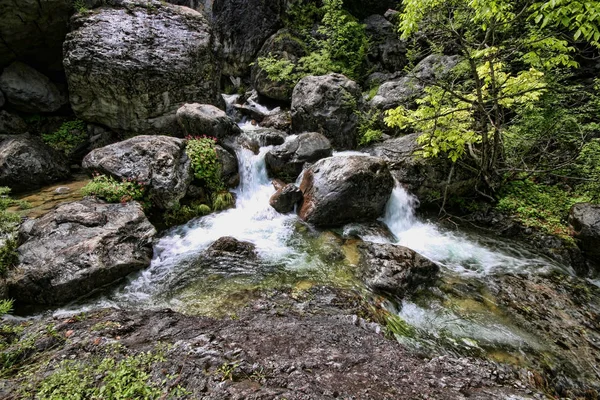 Mount Olympos Mountain Stream Grécia — Fotografia de Stock