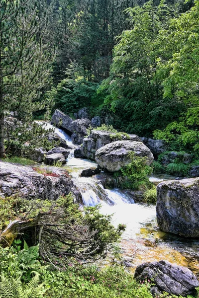 Mount Olympos Dağ Dere Yunanistan — Stok fotoğraf