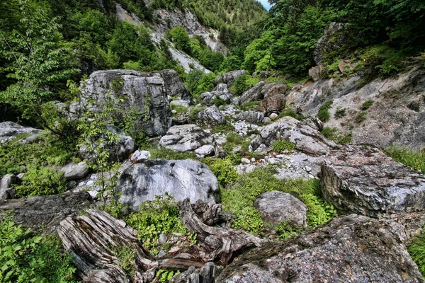 Intact nature under Mount Olympus, Greece