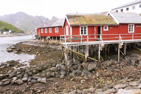 Typische Rote Holzhäuser Der Küste Norwegens — Stockfoto