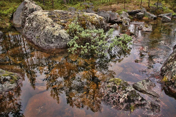 Fin göllerde güzel yansımaları