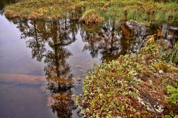 Vackra Reflektioner Finska Sjöar — Stockfoto