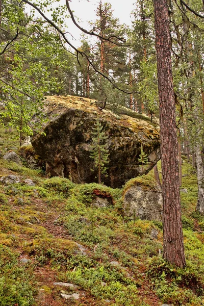 Ομορφιά Της Φινλανδικής Φύσης — Φωτογραφία Αρχείου